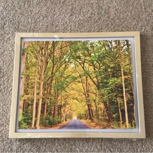 8” x 10” Print of Tunnel of Trees
